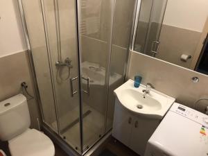 ein Badezimmer mit Dusche, Toilette und Waschbecken in der Unterkunft SKH RLS, 3 apartments, 5 bedrooms in Praid