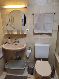 a bathroom with a toilet and a sink and a mirror at Komfort FeWo Stadt Mitte in Trier +11 photos
