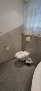 ein Bad mit WC in der Ecke eines Zimmers in der Unterkunft Geinberg Suites & Via Nova Lodges in Polling im Innkreis