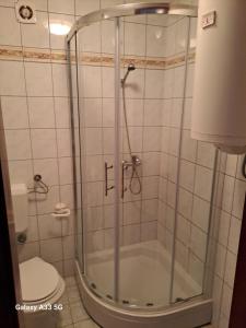 un bagno con doccia e WC di Apartment Zarok 2 a Baška Altre 36 foto