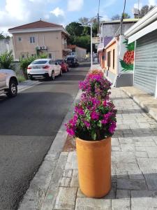 Okolí apartmánu