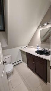 a small bathroom with a toilet and a sink at Happy Moose Guest Suite in Porters Lake