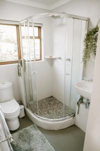 a bathroom with a shower and a toilet and a sink at Breathe Accommodation in Oudtshoorn