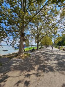 Příroda nedaleko apartmánu + 16 fotografií