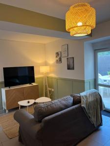 uma sala de estar com um sofá e uma televisão em Le chaleureux. Maison à 2 pas du centre ville/proche du zoo de Beauval em Contres