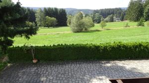 eine Hecke mit einer Topfpflanze auf einem Feld in der Unterkunft Haus Rosenbühl in Warmensteinach