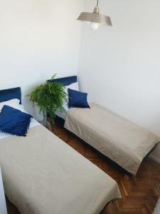 two beds in a room with a potted plant at Urban Nest Apartments Starowiślna 30A in Krakow