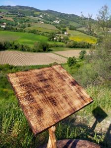 a wooden table on top of a field of grass at Palazzo Giulia in Brisighella