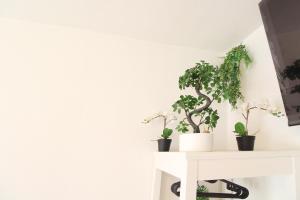 a white table with potted plants on it at Downtown Apartments Ulm - im Herzen von Ulm & komfortable Boxspringbetten in Ulm