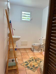 a bathroom with a sink and a toilet at La Belle Epoque (3*) - Maison avec vue sur mer à Bouillante in Bouillante +26 photos