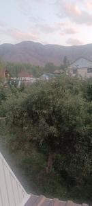 a tree sitting on top of a field with mountains at "Kamchybek Ata" guest house B&B in Tërt-Kul'