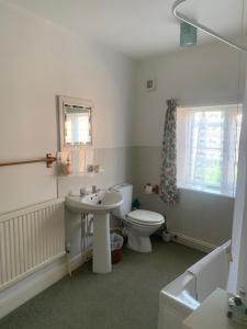 a bathroom with a toilet and a sink at Alby horseshoes inn in Erpingham
