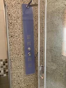 a glass shower door with a control panel on a wall at IL RICCIO appartamento sul mare in Torre Melissa