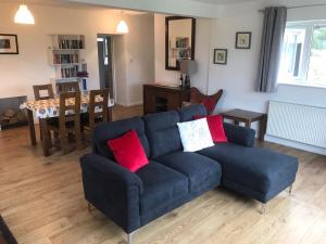 a living room with a blue couch with red pillows at Annie's River Retreat in Doochary