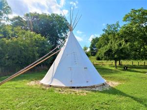 a white teepee in a field of grass at Le Couche t'Art in Pisseloup