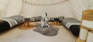 a room with four beds in a tent at Le Couche t'Art in Pisseloup