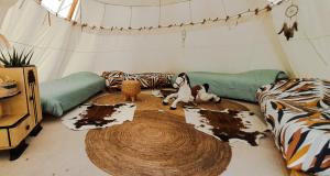 a room with a tent with a dog laying on the floor at Le Couche t'Art in Pisseloup +11 photos