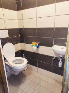 łazienka z toaletą i umywalką w obiekcie Gite de l'Alsace Bossue 