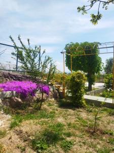 un jardin avec des fleurs violettes et une clôture dans l'établissement Doğal Dikili Çiftlik, à Dikili
