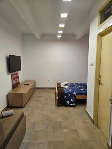 TV a/nebo společenská místnost v ubytování Booking Apartments Alone 2