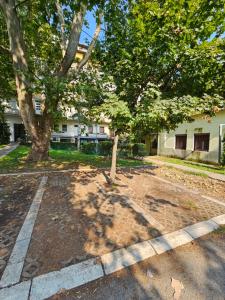 Zahrada ubytování Booking Apartments Alone 2