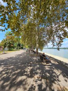 a man sitting on a park bench under a tree at Booking Apartments Alone 2 in Zemun