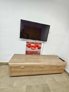 TV a/nebo společenská místnost v ubytování Booking Apartments Alone 2