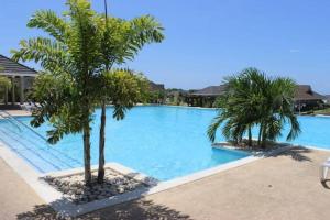 una piscina con dos palmeras. en Mahoe Villa @ Richmond Estate en Richmond