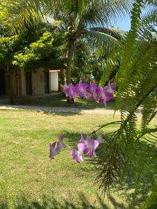 Jardín al aire libre en Casa de Japaratinga