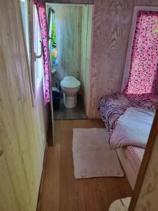 een kleine kamer met een toilet, een bed en een badkamer bij Au fils de l'eau in Straatsburg