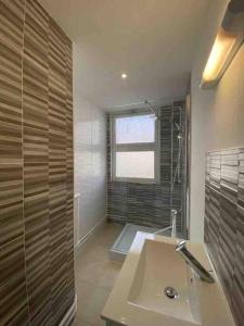 baño con lavabo y ducha con ventana en Bel appartement centre ville de Vierzon, en Vierzon