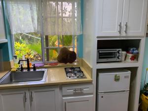 Kuchnia lub aneks kuchenny w obiekcie Sunrise Suite