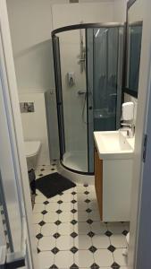 y baño con ducha, lavabo y aseo. en Apartament na Starówce en Elblag