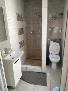 W łazience znajduje się prysznic, toaleta i umywalka. w obiekcie Svitiaz Griada w mieście Szack