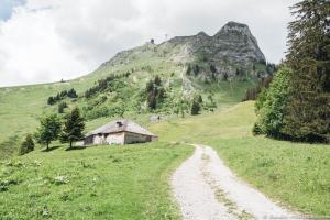 uma estrada de terra num campo com uma montanha em Joli studio au pied du Moleson em Gruyères
