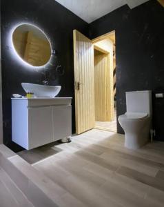 La salle de bains est pourvue d'un lavabo, de toilettes et d'un miroir. dans l'établissement Cozy Cottage Dilijan Arg, à Dilidjan