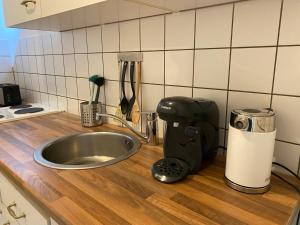 eine Küchentheke mit einer Spüle und einem Mixer in der Unterkunft Modernes Apartment in zentraler Lage in Münster