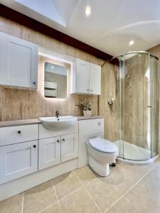 Drybrook的住宿－Coach House，浴室配有卫生间、盥洗盆和淋浴。
