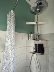 um chuveiro na casa de banho com uma cortina de chuveiro em Maison independante pour 2 tout inclus Tiny House for 2 all included em Teilhet