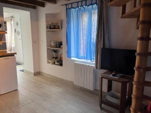 a living room with a television and blue curtains at Maison independante pour 2 tout inclus Tiny House for 2 all included in Teilhet
