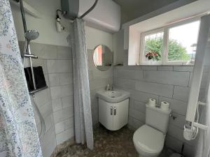 a bathroom with a toilet and a sink and a window at Maison independante pour 2 tout inclus Tiny House for 2 all included in Teilhet