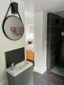 a bathroom with a sink and a mirror at Ballybur Cottage in Kilkenny
