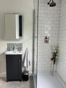 a bathroom with a sink and a glass shower at Ballybur Cottage in Kilkenny