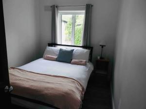 1 cama con 2 almohadas y una ventana en una habitación en Ballybur Cottage, en Kilkenny