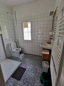 uma casa de banho com um WC e um lavatório em Vejminek Malý Statek 