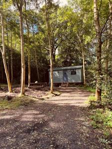 a campsite in the middle of a forest at Southfield Shepards Huts in Durham