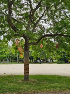 Ein Baum mitten im Park in der Unterkunft Appartement in Troyes