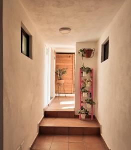 a hallway with stairs and potted plants on the wall at Santa Josefita B&B in Cholula
