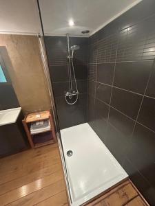 a bathroom with a shower with a shower at Au mont des Brumes in Stoumont +22 photos