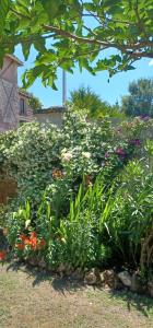 un jardín de flores y plantas en un patio en Maison à la Campagne, en Blis-et-Born